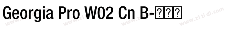 Georgia Pro W02 Cn B字体转换
